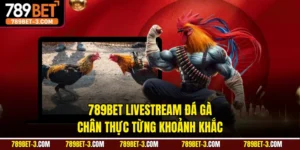 789BET Livestream Đá Gà Chân Thực Từng Khoảnh Khắc