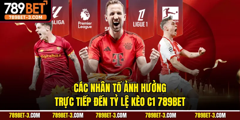 Các nhân tố ảnh hưởng trực tiếp đến tỷ lệ kèo C1 789BET