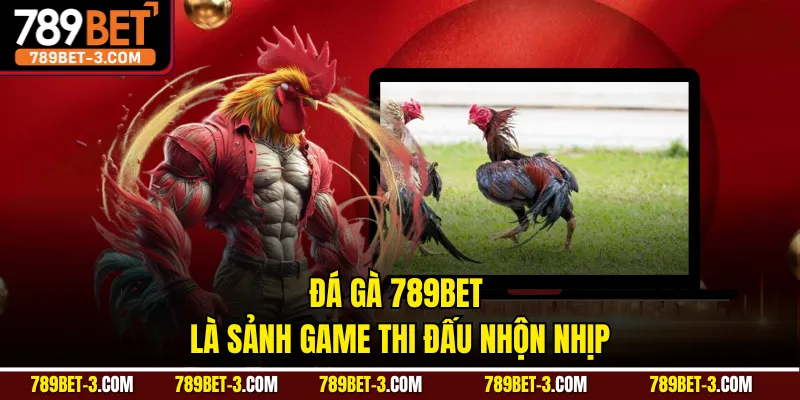 Đá gà 789BET là sảnh game thi đấu nhộn nhịp