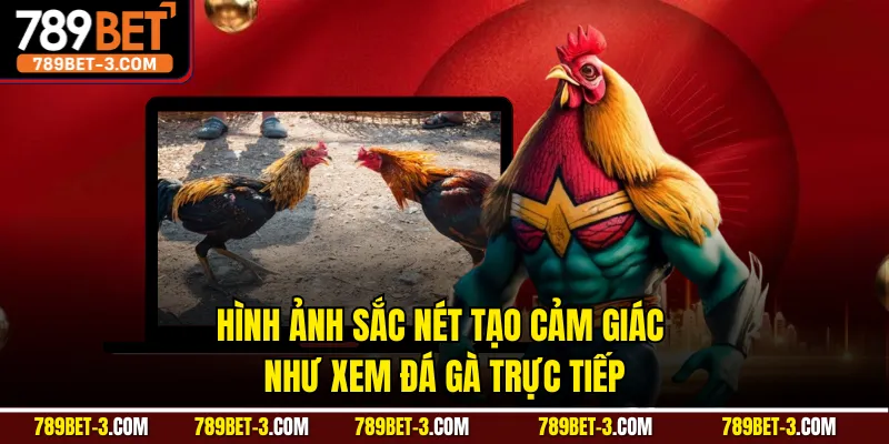 Hình ảnh sắc nét tạo cảm giác như xem đá gà trực tiếp