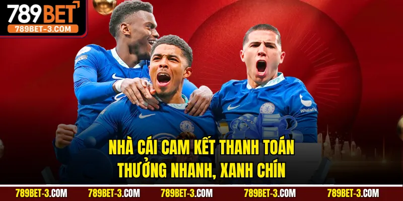 Nhà cái cam kết thanh toán thưởng nhanh, xanh chín